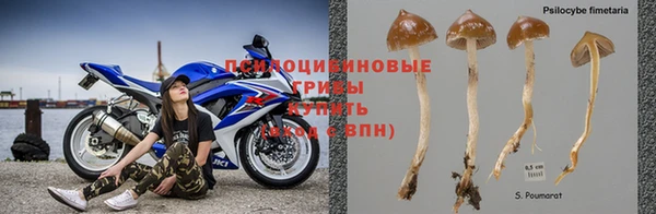 спайс Белоозёрский